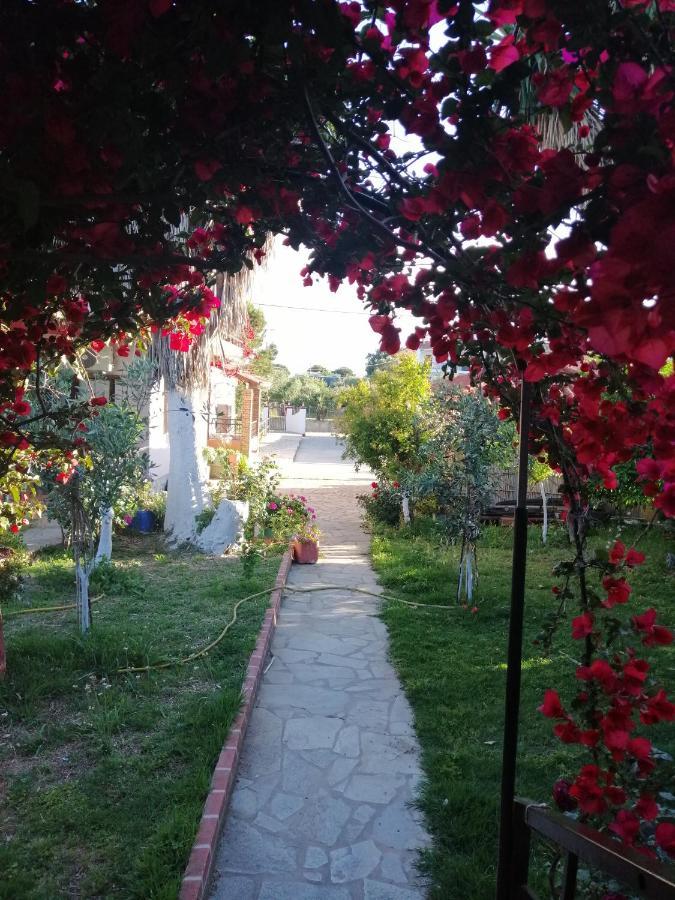 Armonia Studios Agios Georgios  Exterior photo